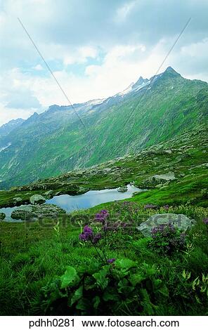 Stock Image - brook, little stream, high mountain area, suburb, suburb district, cloud, nations. Fotosearch