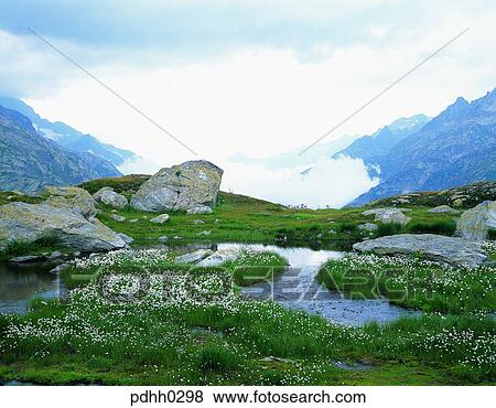 Stock Photo - brook, little stream, high mountain area, suburb, suburb district, cloud, nations. Fotosearch