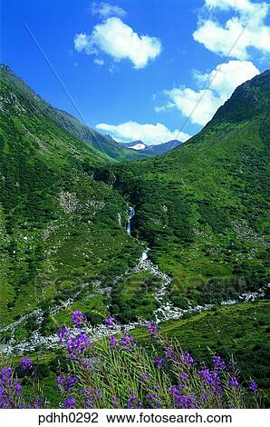 Stock Image - brook, little stream, valley, gully, valley, ravine, suburb. Fotosearch