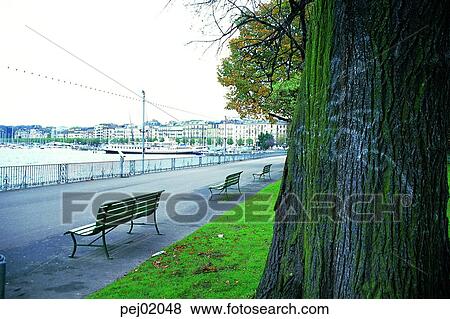 Stock Photo - building, structure, architectural establishment, architectural facilities, park, way, road. Fotosearch
