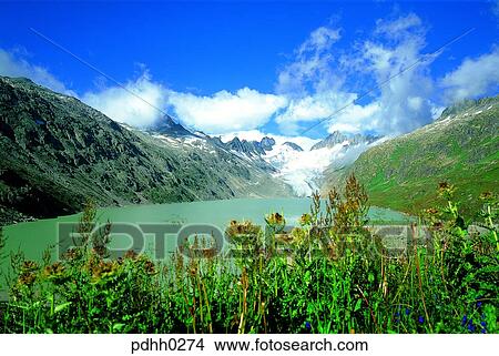 cloud, clouds, nations, day, snow, grass flower, perpetual snow View Large Photo Image Picture - cloud, clouds, nations, day, snow, grass flower, perpetual snow. Fotosearch