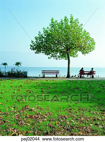 day, architectural facilities, tree, nations, park, bench, architectural establishment View Large Photo Image Picture - day, architectural facilities, tree, nations, park, bench, architectural establishment. Fotosearch