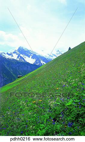 high mountain, plateau, suburb, suburb district, cloud, nations, day View Large Photo Image Stock Photograph - high mountain, plateau, suburb, suburb district, cloud, nations, day. Fotosearch