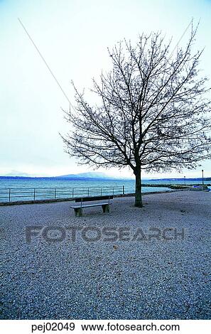 Stock Photo - nations, architectural facilities, suburb district, suburb, park, tree, architectural establishment. Fotosearch