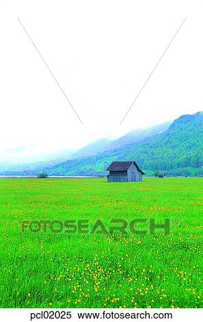 season, suburb, suburb district, cloud, flower, nations, day View Large Photo Image Stock Photography - season, suburb, suburb district, cloud, flower, nations, day. Fotosearch