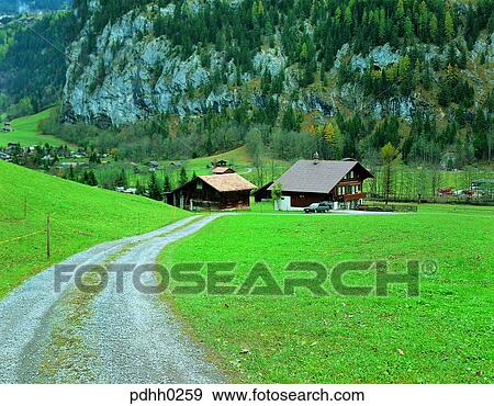 suburb district, season, suburb, plateau, high mountain, way, autumn View Large Photo Image Stock Photo - suburb district, season, suburb, plateau, high mountain, way, autumn. Fotosearch