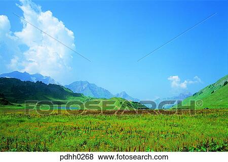 suburb, suburb district, cloud, nations, day, grass, grassland View Large Photo Image Stock Photo - suburb, suburb district, cloud, nations, day, grass, grassland. Fotosearch