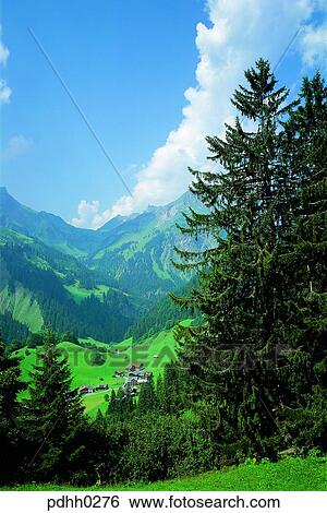 suburb, suburb district, cloud, nations, tree, day, grass View Large Photo Image Stock Photograph - suburb, suburb district, cloud, nations, tree, day, grass. Fotosearch