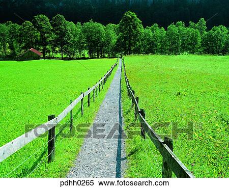 suburb, suburb district, way, road, route, street, nations View Large Photo Image Stock Photography - suburb, suburb district, way, road, route, street, nations. Fotosearch