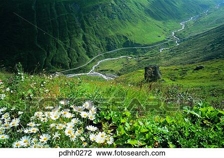valley, gully, valley, ravine, suburb, suburb district, nations View Large Photo Image Stock Image - valley, gully, valley, ravine, suburb, suburb district, nations. Fotosearch
