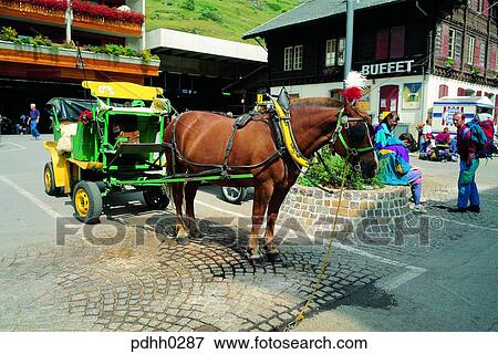 way, road, street, building, structure, tourist, tour park View Large Photo Image Stock Photo - way, road, street, building, structure, tourist, tour park. Fotosearch