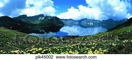cloud, flower, day, Manbyoungwha, reflection, reflection, Mt Baekdu View Large Photo Image Stock Image - cloud, flower, day, Manbyoungwha, reflection, reflection, Mt Baekdu. Fotosearch