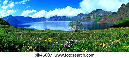 cloud, flower, day, Mt Baekdu, Mt Baekdu spring, Mt Baekdu crater lake, spring View Large Photo Image Stock Photo - cloud, flower, day, Mt Baekdu, Mt Baekdu spring, Mt Baekdu crater lake, spring. Fotosearch