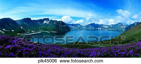 cloud, flower, day, Mt Baekdu, Mt Baekdu spring, Mt Baekdu crater lake, spring View Large Photo Image Stock Photograph - cloud, flower, day, Mt Baekdu, Mt Baekdu spring, Mt Baekdu crater lake, spring. Fotosearch