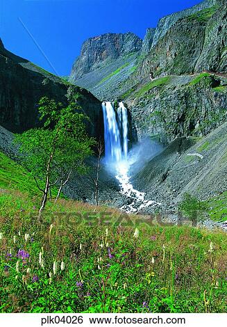 day, wild flower, field flower, field flower, stream, rock mountain, Mt Baekdu View Large Photo Image Stock Photograph - day, wild flower, field flower, field flower, stream, rock mountain, Mt Baekdu. Fotosearch