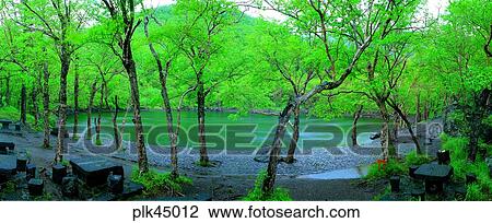 tree, day, Mt Baekdu, North Korea, mountain, little crater lake View Large Photo Image Stock Image - tree, day, Mt Baekdu, North Korea, mountain, little crater lake. Fotosearch