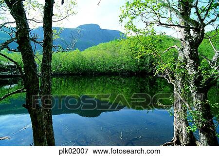 tree, day, reflection, reflection, Mt Baekdu, Mt Baekdu crater lake, spring View Large Photo Image Stock Photo - tree, day, reflection, reflection, Mt Baekdu, Mt Baekdu crater lake, spring. Fotosearch