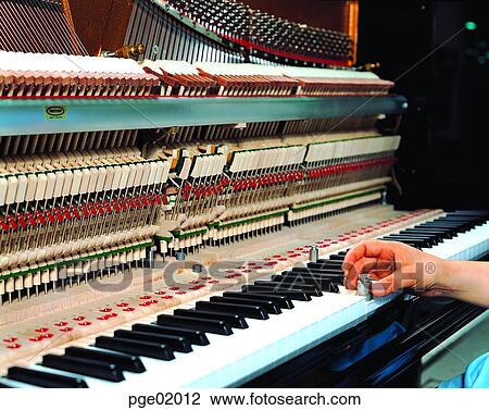 keyboard, factory, plant, worker, laborer, duty, service View Large Photo Image Stock Image - keyboard, factory, plant, worker, laborer, duty, service. Fotosearch