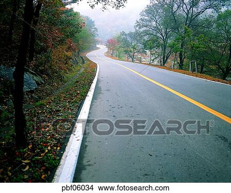 street tree, autumn, fall, season, traffic and street, traffic and road, traffic and way View Large Photo Image Picture - street tree, autumn, fall, season, traffic and street, traffic and road, traffic and way. Fotosearch