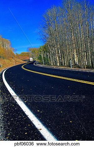 street tree, autumn, fall, season, traffic and street, traffic and road, traffic and way View Large Photo Image Stock Photograph - street tree, autumn, fall, season, traffic and street, traffic and road, traffic and way. Fotosearch