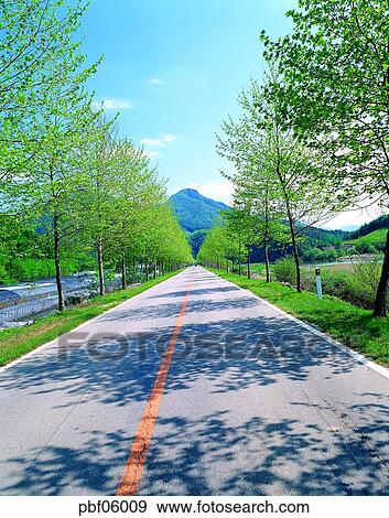 street tree, avenue, traffic and street, traffic and road, traffic and way, cloud, nucleus View Large Photo Image Stock Photo - street tree, avenue, traffic and street, traffic and road, traffic and way, cloud, nucleus. Fotosearch