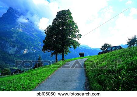 street tree, high mountain, traffic and street, traffic and road, traffic and way, cloud, nucleus View Large Photo Image Stock Image - street tree, high mountain, traffic and street, traffic and road, traffic and way, cloud, nucleus. Fotosearch