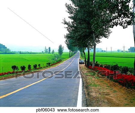 street tree, traffic and street, traffic and road, traffic and way, nucleus, mainstay, key industries View Large Photo Image Stock Image - street tree, traffic and street, traffic and road, traffic and way, nucleus, mainstay, key industries. Fotosearch