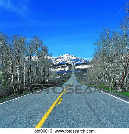 street tree, winter, winter mountain, traffic and street, traffic and road, traffic and way, transportation View Large Photo Image Stock Image - street tree, winter, winter mountain, traffic and street, traffic and road, traffic and way, transportation. Fotosearch