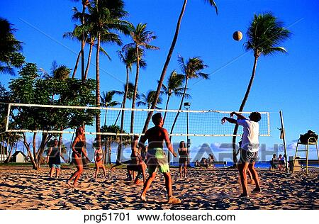 Stock Image - ball, day, net, leisure, sandy beach, sands, beach. Fotosearch