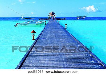 Stock Photography - day, motor boat, Maldives, sea, Vabbinfaru resort, ship, boat. Fotosearch