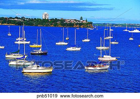 day, New Zealand, leisure, leisure, sea, ship, boat View Large Photo Image Stock Photo - day, New Zealand, leisure, leisure, sea, ship, boat. Fotosearch