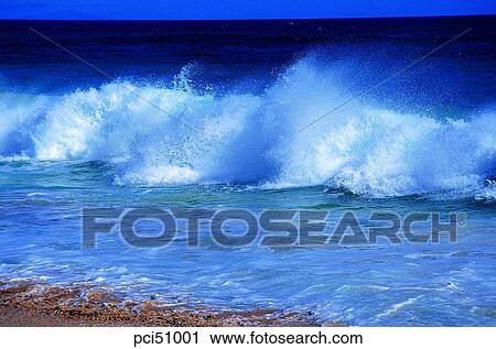 Stock Image - day, spray, America, USA, sea, beach, seashore. Fotosearch