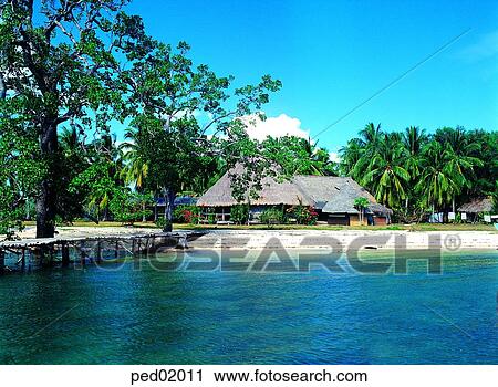 day, travel place, South Pacific island, tree, destination, resort, 0264 View Large Photo Image Stock Image - day, travel place, South Pacific island, tree, destination, resort, 0264. Fotosearch