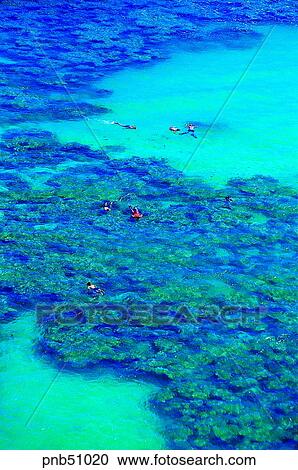 leisure, leisure, America, USA, sea, person View Large Photo Image Stock Image - leisure, leisure, America, USA, sea, person. Fotosearch