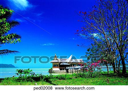 resort, travel place, day, tree, destination, sea, 0259 View Large Photo Image Stock Photo - resort, travel place, day, tree, destination, sea, 0259. Fotosearch