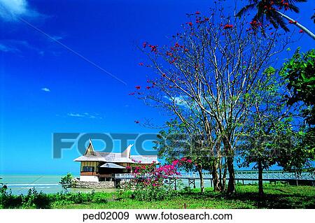 resort, travel place, day, tree, destination, sea, 0261 View Large Photo Image Stock Photo - resort, travel place, day, tree, destination, sea, 0261. Fotosearch