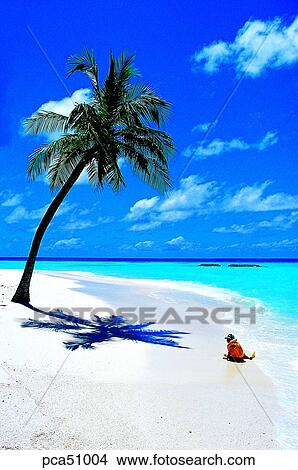 travel place, destination, day, sand, sandy beach, sands, Maldives View Large Photo Image Picture - travel place, destination, day, sand, sandy beach, sands, Maldives. Fotosearch