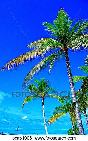 travel place, destination, day, sea, water plane, seaplane View Large Photo Image Stock Photograph - travel place, destination, day, sea, water plane, seaplane. Fotosearch