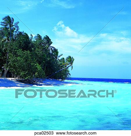 travel place, destination, South Pacific island, day, sand, sea, beach View Large Photo Image Stock Image - travel place, destination, South Pacific island, day, sand, sea, beach. Fotosearch