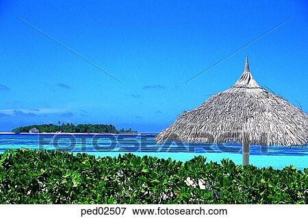 travel place, destination, South Pacific island, day, sea, beach parasol View Large Photo Image Stock Photo - travel place, destination, South Pacific island, day, sea, beach parasol. Fotosearch