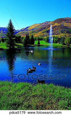 day, animal, America, USA, Northern America, fountain View Large Photo Image Stock Photo - day, animal, America, USA, Northern America, fountain. Fotosearch