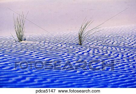 day, New Mexico, sandy desert, desert, sandy beach, sands, wave View Large Photo Image Stock Photo - day, New Mexico, sandy desert, desert, sandy beach, sands, wave. Fotosearch