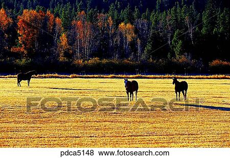 Denver, season, farm land, day, national park, Denvernational park, autumn View Large Photo Image Stock Photo - Denver, season, farm land, day, national park, Denvernational park, autumn. Fotosearch