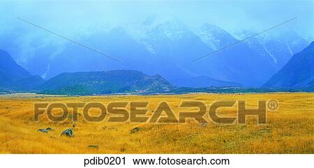 field, day, field, New Zealand, snow, plain, autumn View Large Photo Image Stock Image - field, day, field, New Zealand, snow, plain, autumn. Fotosearch