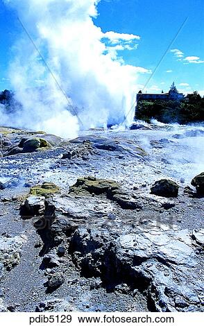 geyser, day, New Zealand, Rotorua, outdoor, exterior View Large Photo Image Stock Photo - geyser, day, New Zealand, Rotorua, outdoor, exterior. Fotosearch