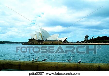 gull, construction, building, structure, construction, building, day View Large Photo Image Stock Photo - gull, construction, building, structure, construction, building, day. Fotosearch