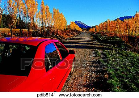 New Zealand, autumn, day, road, season, drive, autumn View Large Photo Image Stock Image - New Zealand, autumn, day, road, season, drive, autumn. Fotosearch
