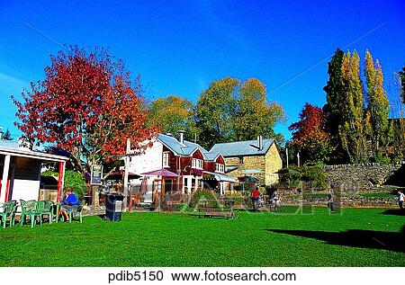 New Zealand, autumn, day, season, family, maple, autumn View Large Photo Image Stock Image - New Zealand, autumn, day, season, family, maple, autumn. Fotosearch