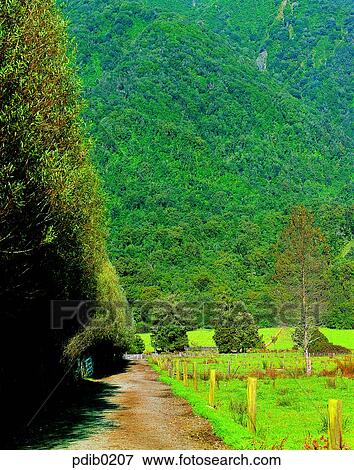 road, day, farm land, New Zealand, ranch, stock farm View Large Photo Image Stock Photo - road, day, farm land, New Zealand, ranch, stock farm. Fotosearch