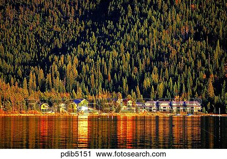 tree, autumn, tour space, traveling place, river, day, autumn View Large Photo Image Stock Image - tree, autumn, tour space, traveling place, river, day, autumn. Fotosearch